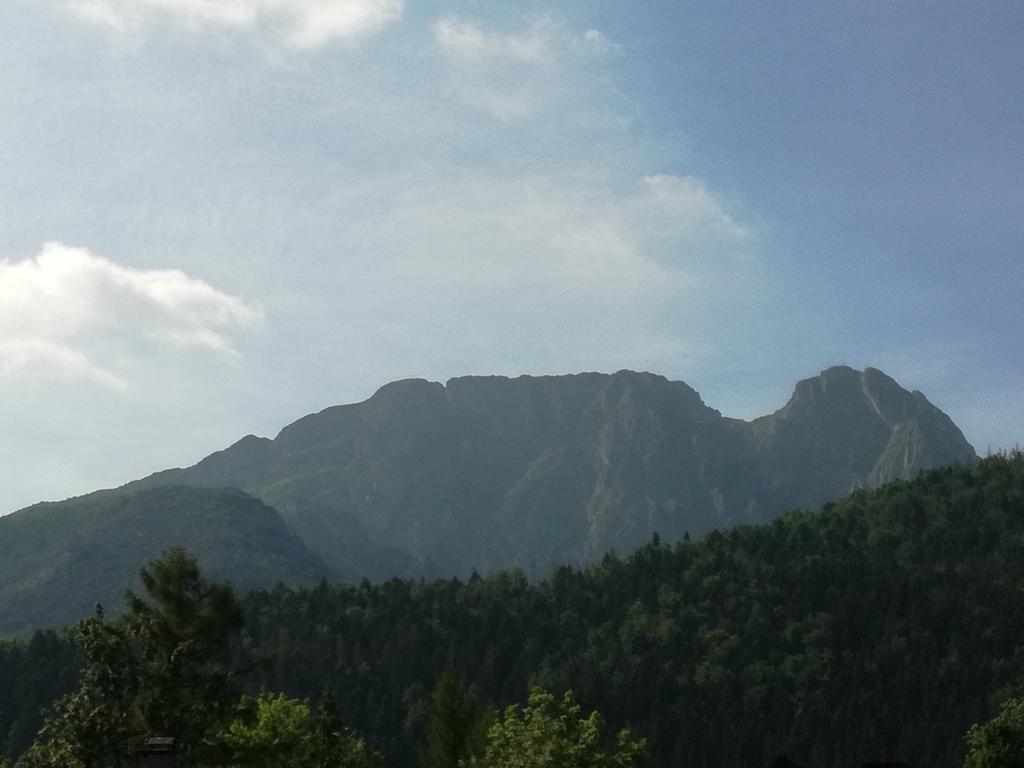 U Obrochty Lägenhet Zakopane Exteriör bild